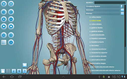 best anatomy app for mac